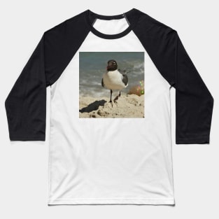 Beautiful photograph of a seagull Baseball T-Shirt